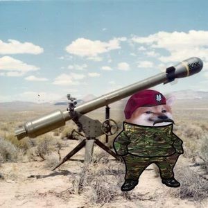 Meet your Posher, Steve